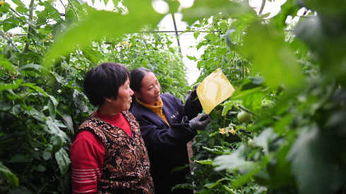  数万亿维度的经济解码：揭示杭州居民收支的结构性重构 IT技术