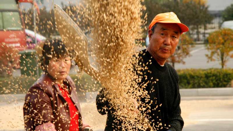  数万亿维度的经济解码：揭示杭州居民收支的结构性重构 IT技术