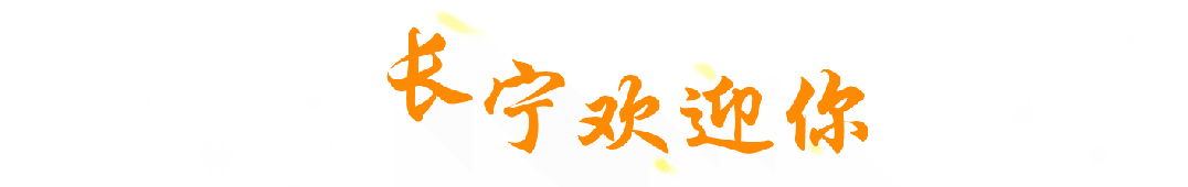  技术流视角下的清明长宁文化地图：七大场馆开放数据全解析与高效应览策略 文化旅游