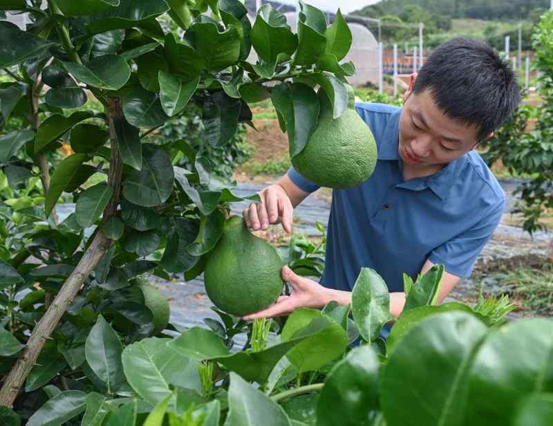  习近平总书记引领中国从脱贫攻坚迈向乡村全面振兴 新闻