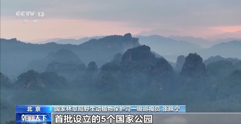  特别“家庭旅行团”亮相 我国野生动植物保护交出亮眼答卷 新闻