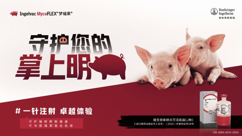  三大养殖业巨头开年动作频频，释放啥信号？ 新闻 三大养殖业巨头开年动作频频，释放啥信号？ 新闻