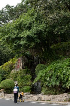 广东博力威科技股份有限公司2025年度业绩快报公告 新闻