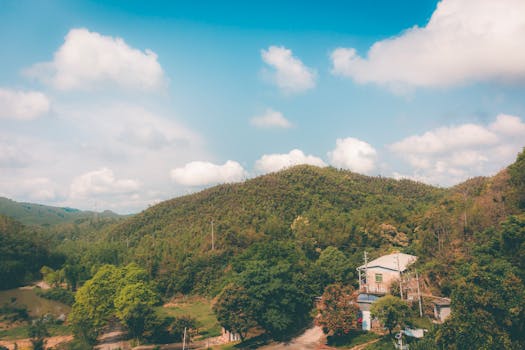 华大智造业绩快报：“AI+生命科学”全栈式基座优势凸显，全球化与技术链添重磅筹码 新闻