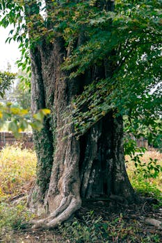  人民法院严打跨境电诈；个人信息保护升级，AI责任边界明晰。 新闻 人民法院严打跨境电诈；个人信息保护升级，AI责任边界明晰。 新闻 人民法院严打跨境电诈；个人信息保护升级，AI责任边界明晰。 新闻 人民法院严打跨境电诈；个人信息保护升级，AI责任边界明晰。 新闻