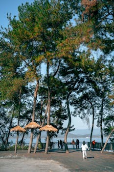 汽车消费回暖信号强烈，湖北省、河南省等地细则落地加速；补贴机制优化与监管并重，助力汽车市场健康可持续发展。