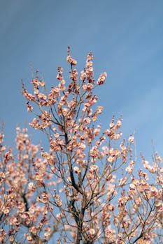 并购策略持续发力,天味食品平稳度过调整期;内生外延并进,未来增长值得期待。 股票财经 并购策略持续发力,天味食品平稳度过调整期;内生外延并进,未来增长值得期待。 股票财经 并购策略持续发力,天味食品平稳度过调整期;内生外延并进,未来增长值得期待。 股票财经