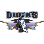  付豪赛后反思，第三节开局失准需深入剖析；北京队整体实力占据上风。 体育新闻