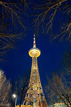 信托行业转型路径解析:山东国信业务结构调整与资产管理规模数据概览 股票财经