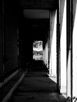  震荡迷雾遮眼，确定性光芒渐现；穿越焦虑期后，优势公司迎来绽放时刻。 股票财经