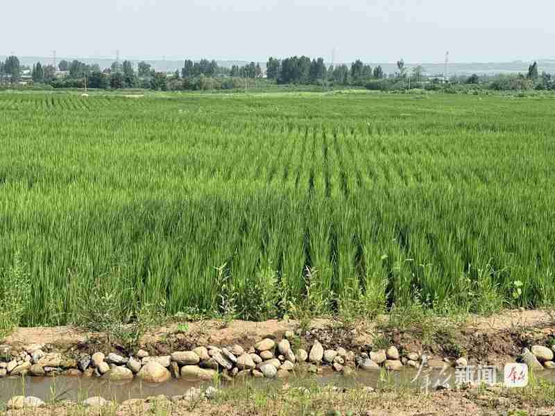 秦岭北麓春色满园;生态修复让田园画卷徐徐展开。 文化旅游