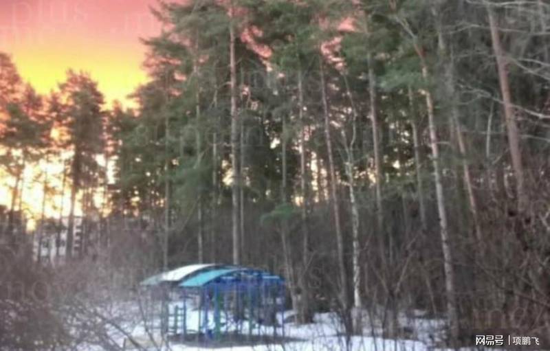 万架无人机突袭逻辑:波罗的海港口防御体系的崩溃路径 新闻