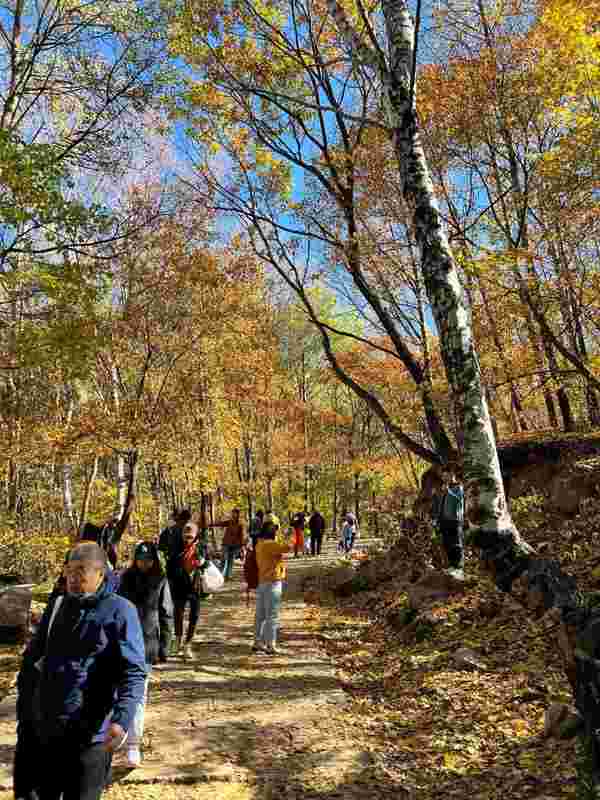  那片沉默的山野，如何治愈了我们这一代人的精神内耗 情感心理