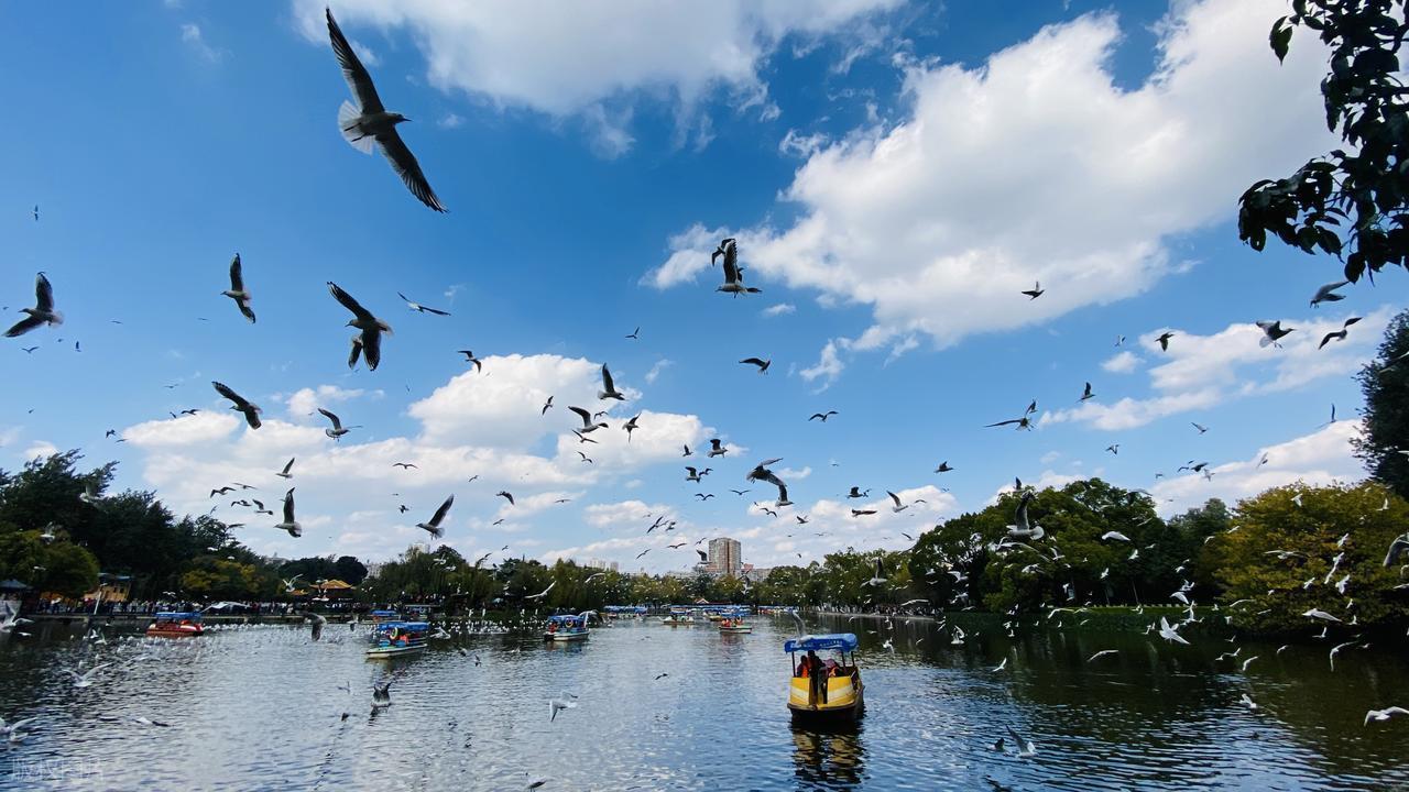  凌晨三点的那通电话，改变了所有人：东北大哥700公里的生死奔赴 影视小说