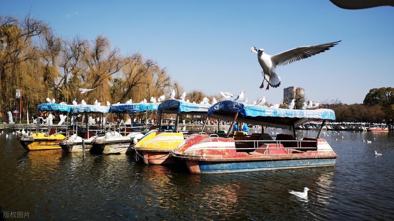  凌晨三点的那通电话，改变了所有人：东北大哥700公里的生死奔赴 影视小说