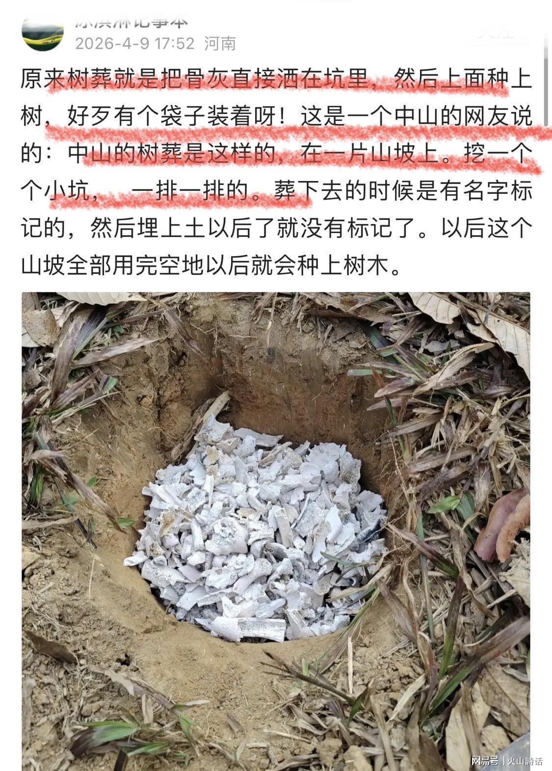  【技术解密】树葬生态原理：骨灰直接入土如何实现土地可持续利用 房产家居