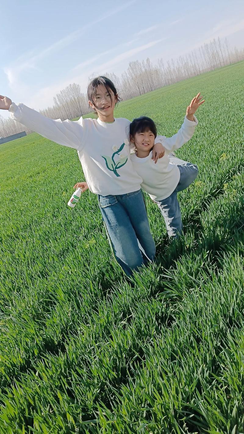  【实踩报告】河南野地踏青全攻略：8处私藏坐标+路线规划+装备清单（2026实测版） 新闻