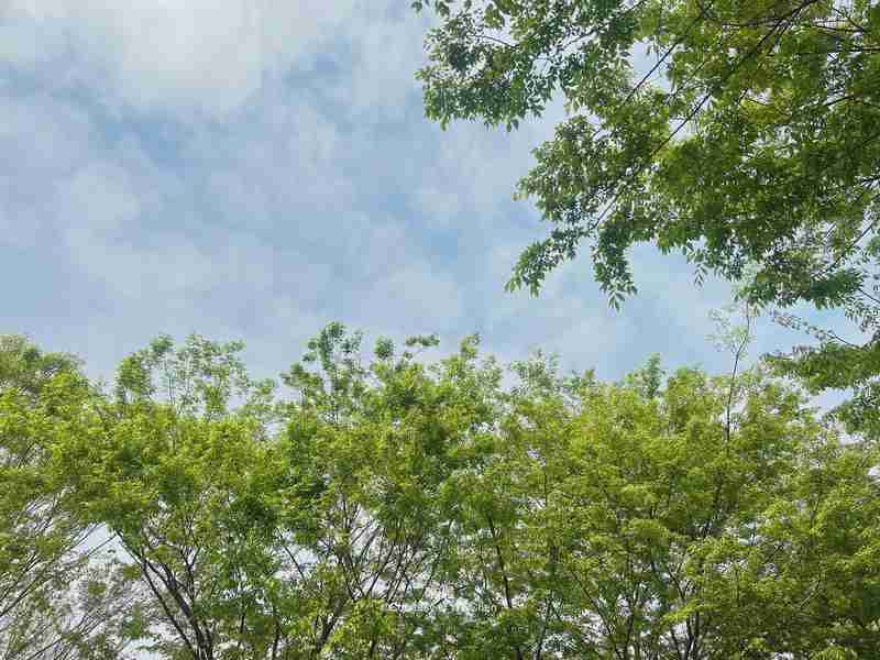  环境心理学视角下的居家能量法则：从神经科学到行为模式的系统性解读 健康养生