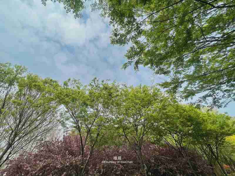  环境心理学视角下的居家能量法则：从神经科学到行为模式的系统性解读 健康养生