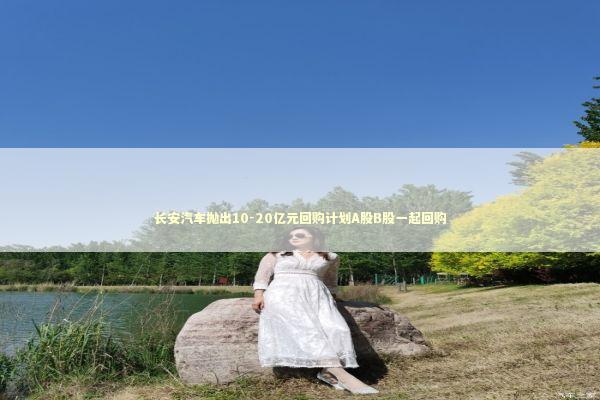 长安汽车抛出10-20亿元回购计划A股B股一起回购 新闻