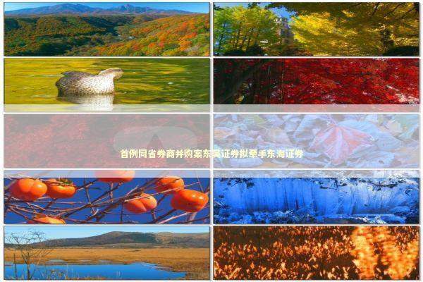 首例同省券商并购案东吴证券拟牵手东海证券 新闻