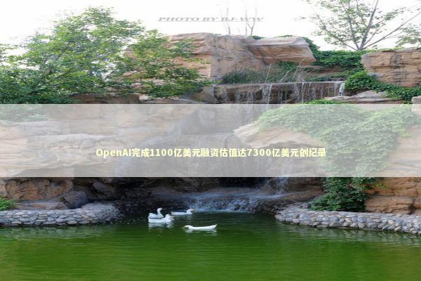 OpenAI完成1100亿美元融资估值达7300亿美元创纪录 新闻