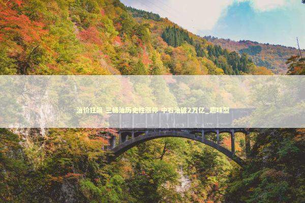 油价狂飙 三桶油历史性涨停 中石油破2万亿_趣味型 新闻