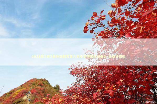 2026年3月3日外交部发言人毛宁主持例行记者会-外交抒情型 新闻