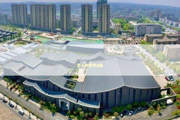 黑天鹅事件A股 新闻