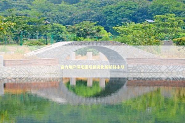 富力地产深陷困境债务化解前路未明 新闻