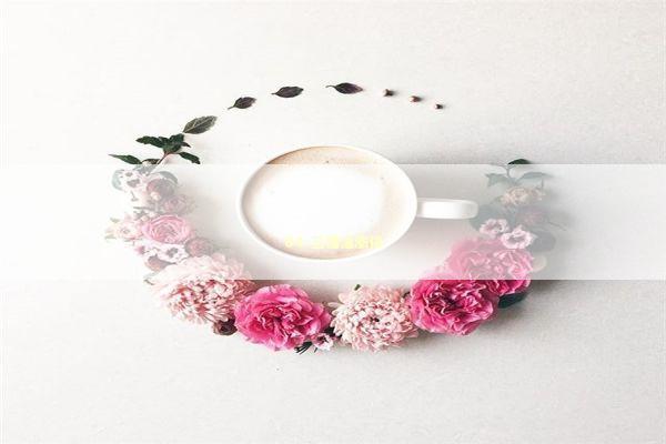 04-三桶油涨停 新闻