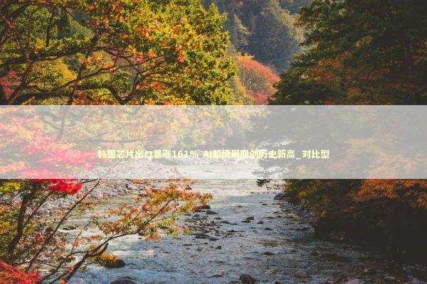 韩国芯片出口暴涨161% AI超级周期创历史新高_对比型 新闻