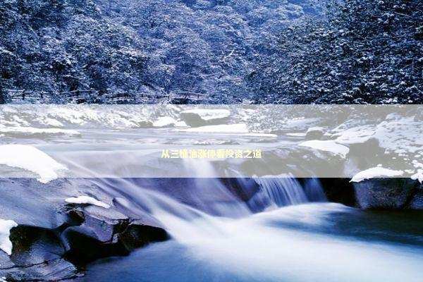 从三桶油涨停看投资之道 新闻