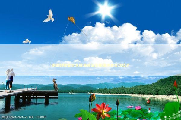 伊朗封锁霍尔木兹海峡油价暴涨冲击全球经济 新闻