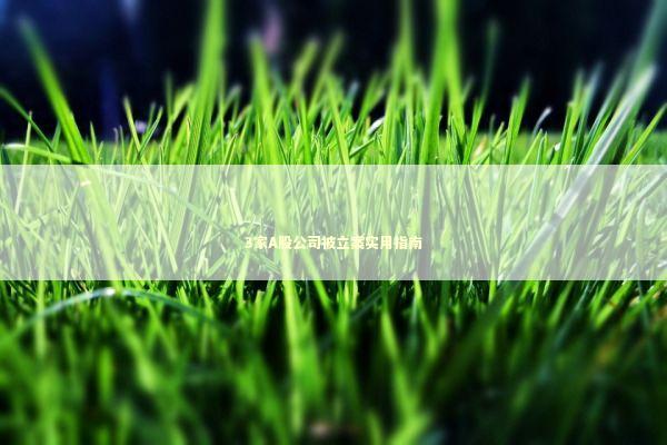 3家A股公司被立案实用指南 新闻