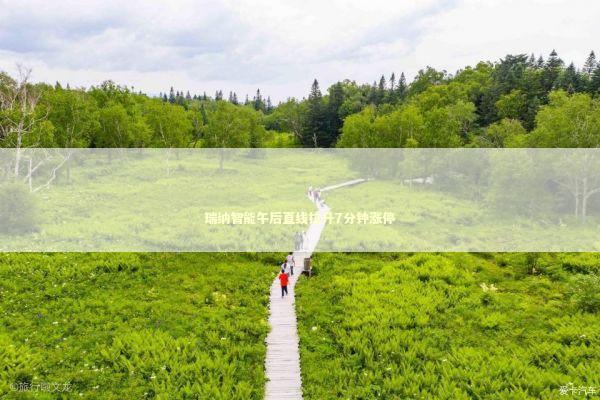 瑞纳智能午后直线拉升7分钟涨停 新闻