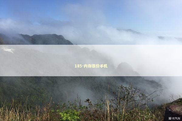 185-内存涨价手机 新闻