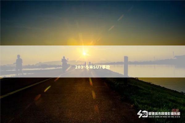 203-小米SU7事故 新闻
