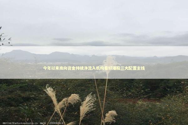 今年以来南向资金持续净流入机构看好港股三大配置主线 今年以来南向资金持续净流入机构看好港股三大配置主线 新闻