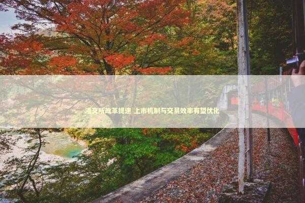 港交所改革提速 上市机制与交易效率有望优化 新闻