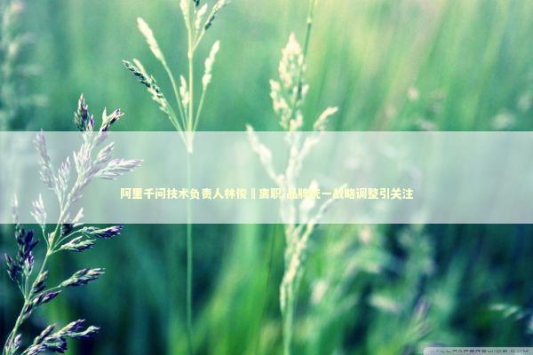 阿里千问技术负责人林俊旸离职 品牌统一战略调整引关注 新闻