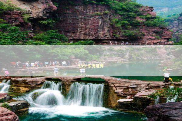 539-东海证券 新闻