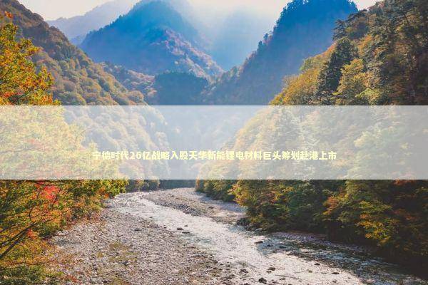 宁德时代26亿战略入股天华新能锂电材料巨头筹划赴港上市 新闻