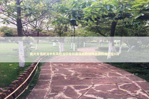 美元走强抵消中东风险溢价金价震荡美联储降息预期推迟至9月 美元走强抵消中东风险溢价金价震荡美联储降息预期推迟至9月 新闻