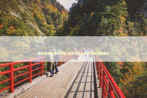 新能源车险困局求解 险企探路车电分离承保新模式 新能源车险困局求解 险企探路车电分离承保新模式 新闻