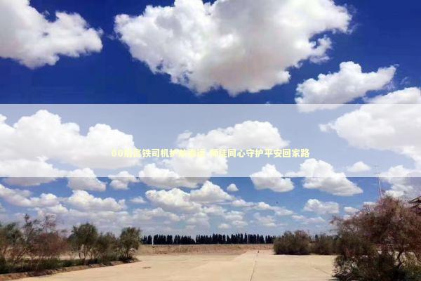 00后高铁司机护航春运 师徒同心守护平安回家路 00后高铁司机护航春运 师徒同心守护平安回家路 新闻