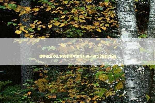 巴林铝业停止发货卡塔尔冶炼厂关闭铝价创两年新高 新闻