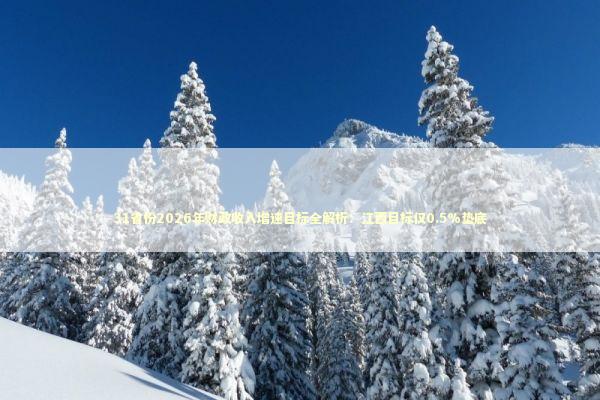 31省份2026年财政收入增速目标全解析：江西目标仅0.5%垫底 新闻