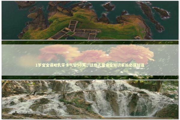 1岁宝宝误呛乳牙卡气管50天,这些儿童安全知识家长必须知道 1岁宝宝误呛乳牙卡气管50天,这些儿童安全知识家长必须知道 新闻