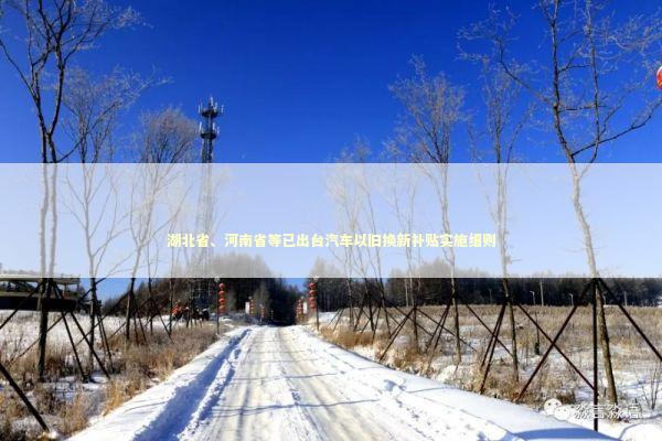 湖北省、河南省等已出台汽车以旧换新补贴实施细则 新闻